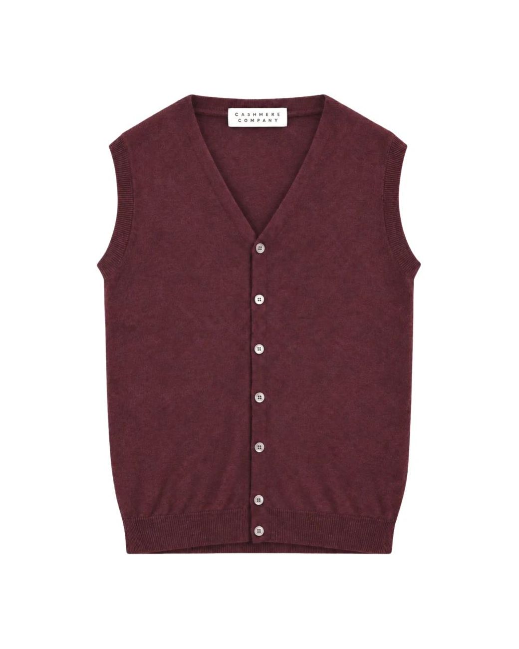 Cashmere Company Purple V-Neck Knitwear for men