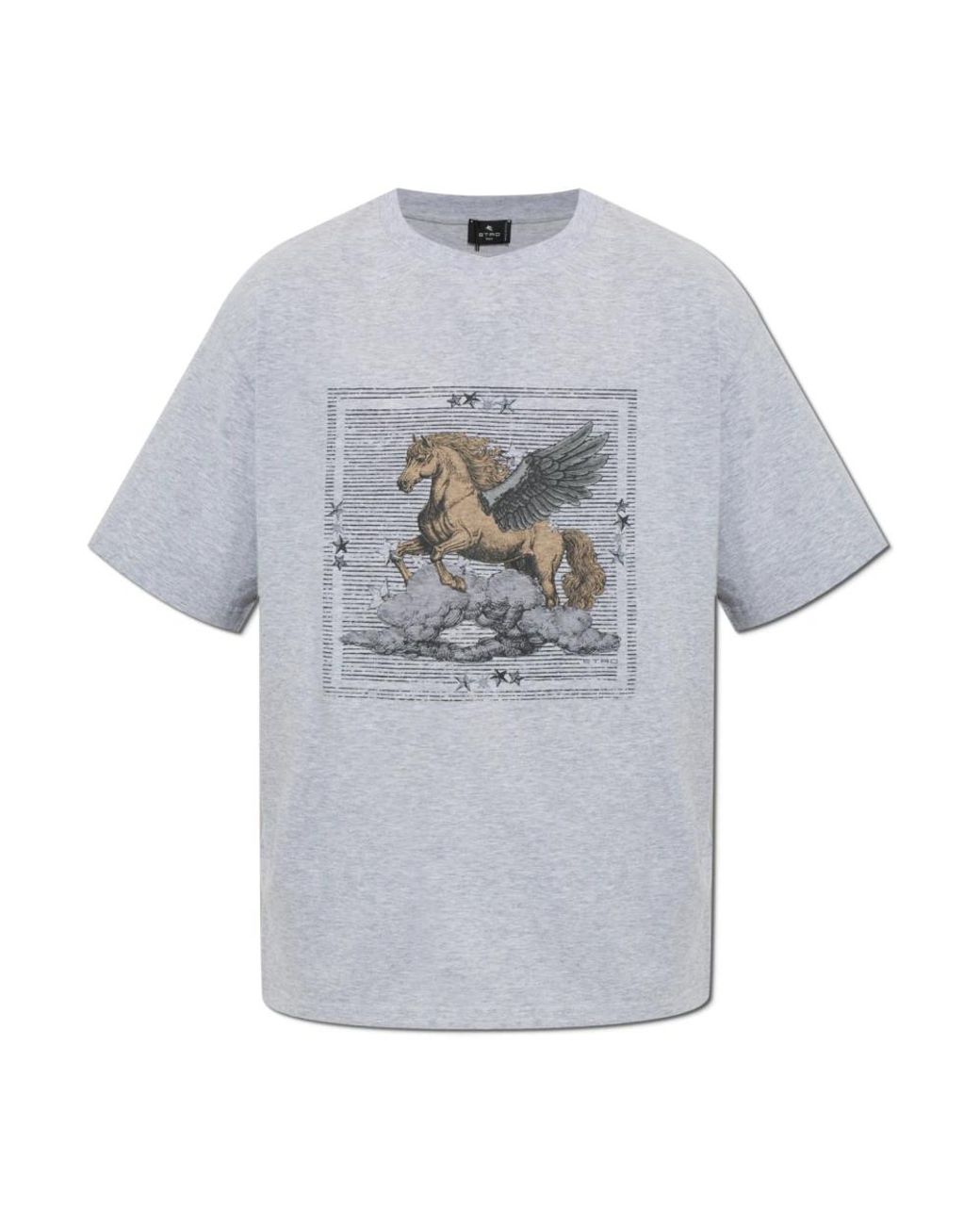 Etro T-Hemden in het Gray voor heren
