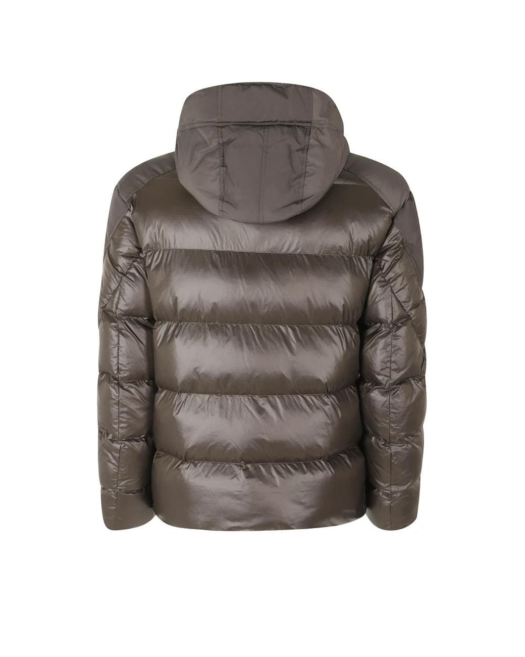 Blauer Brown Winter Jackets for men