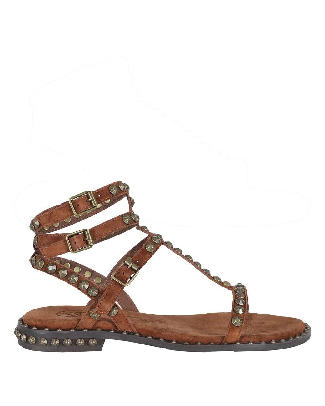 Ash Brown Play Studded Flat Sandal