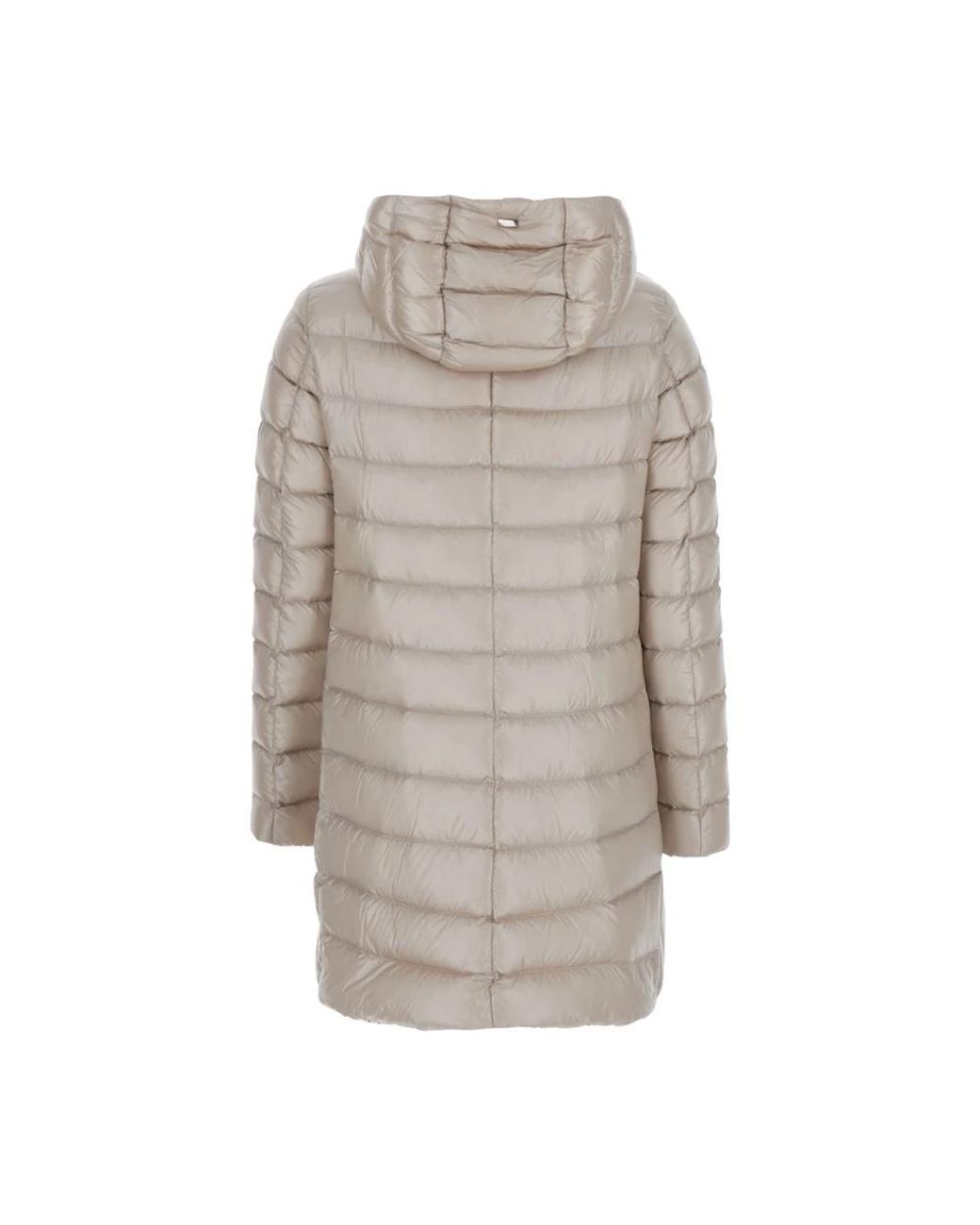 Down Jackets Herno en coloris Gray