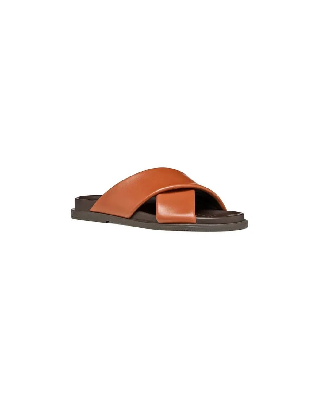Geox Brown Adelash Slide