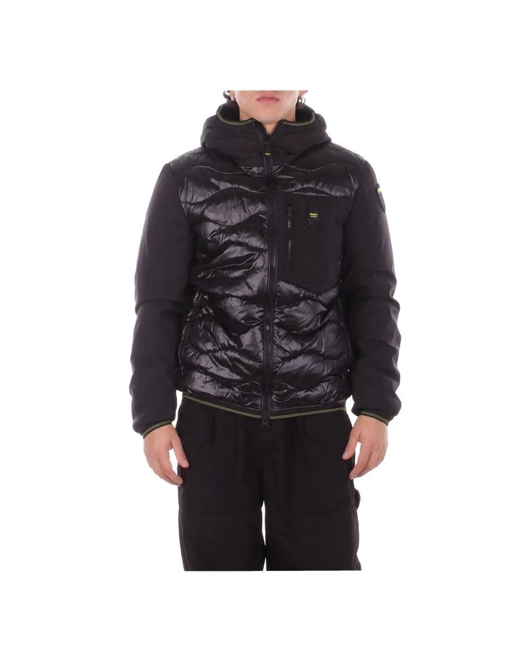 Blauer Jassen ,Zwart ,Leer Albert Down Jacket in het Black voor heren