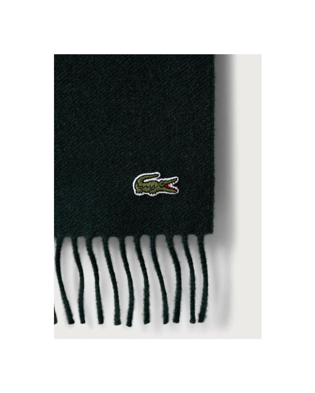 Winter Scarves di Lacoste in Black