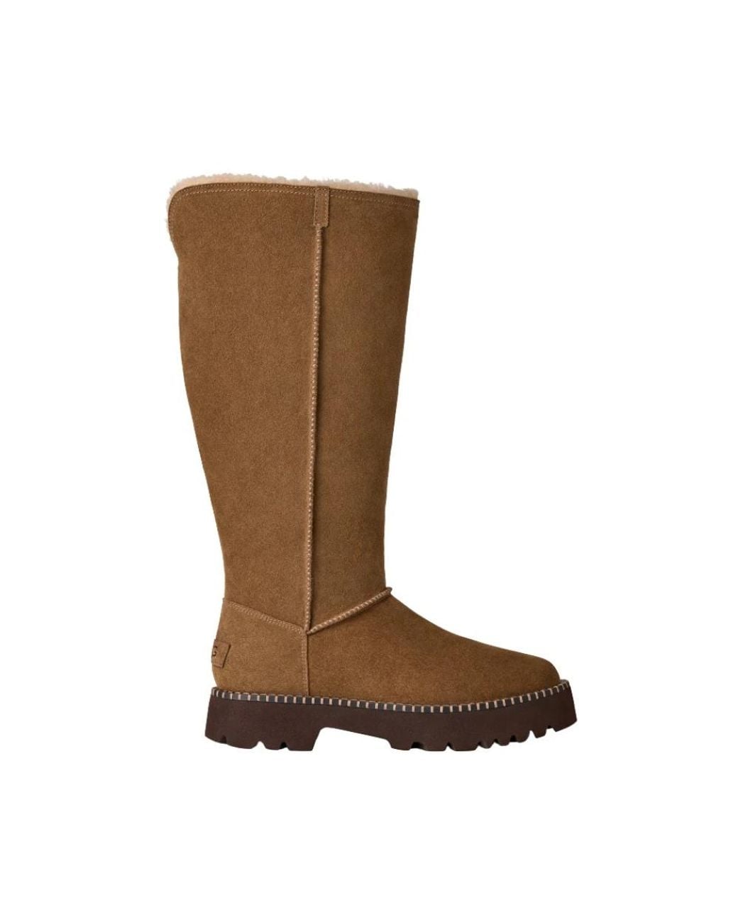 Winter Boots Ugg en coloris Brown