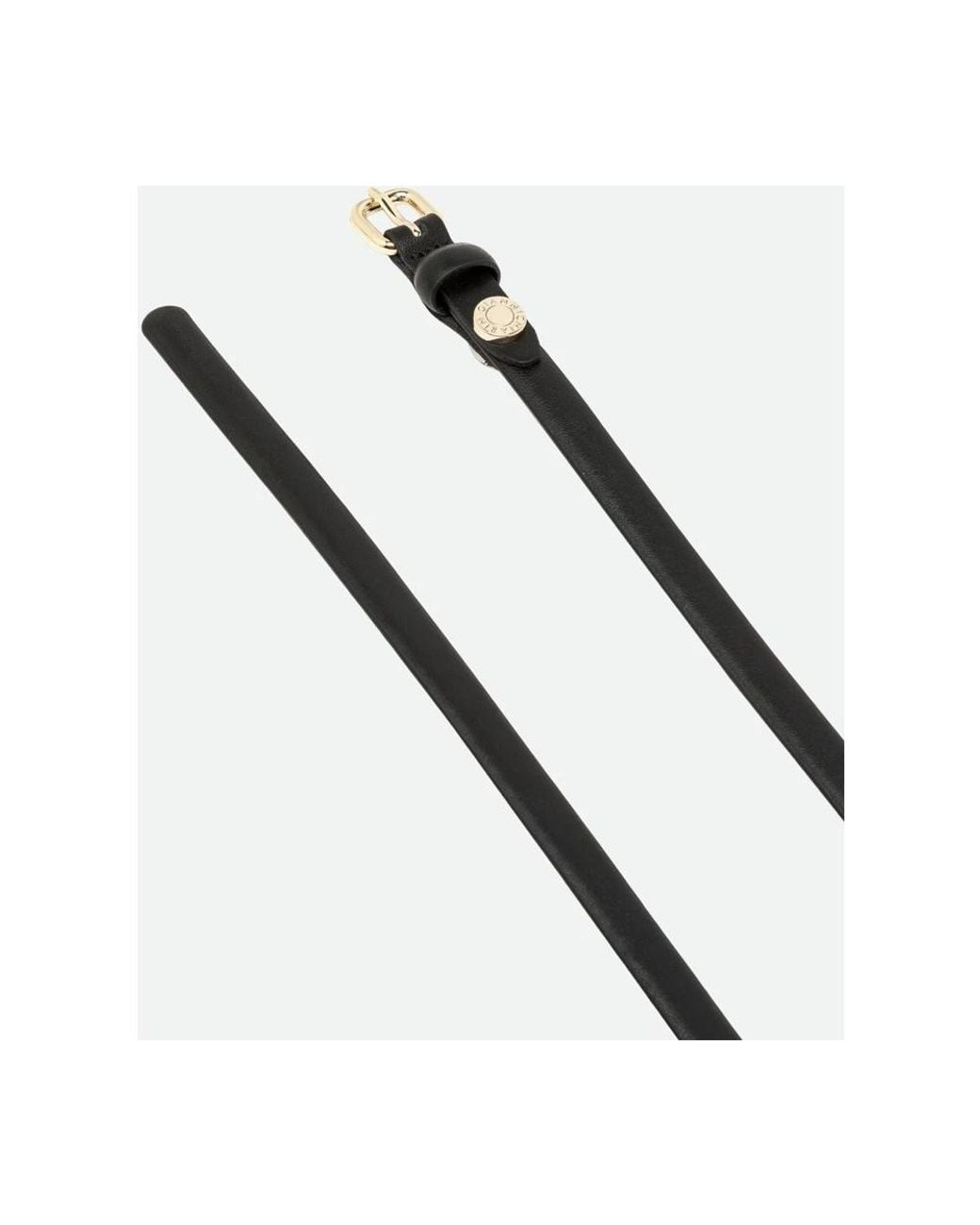 Gianni Chiarini Black Belts