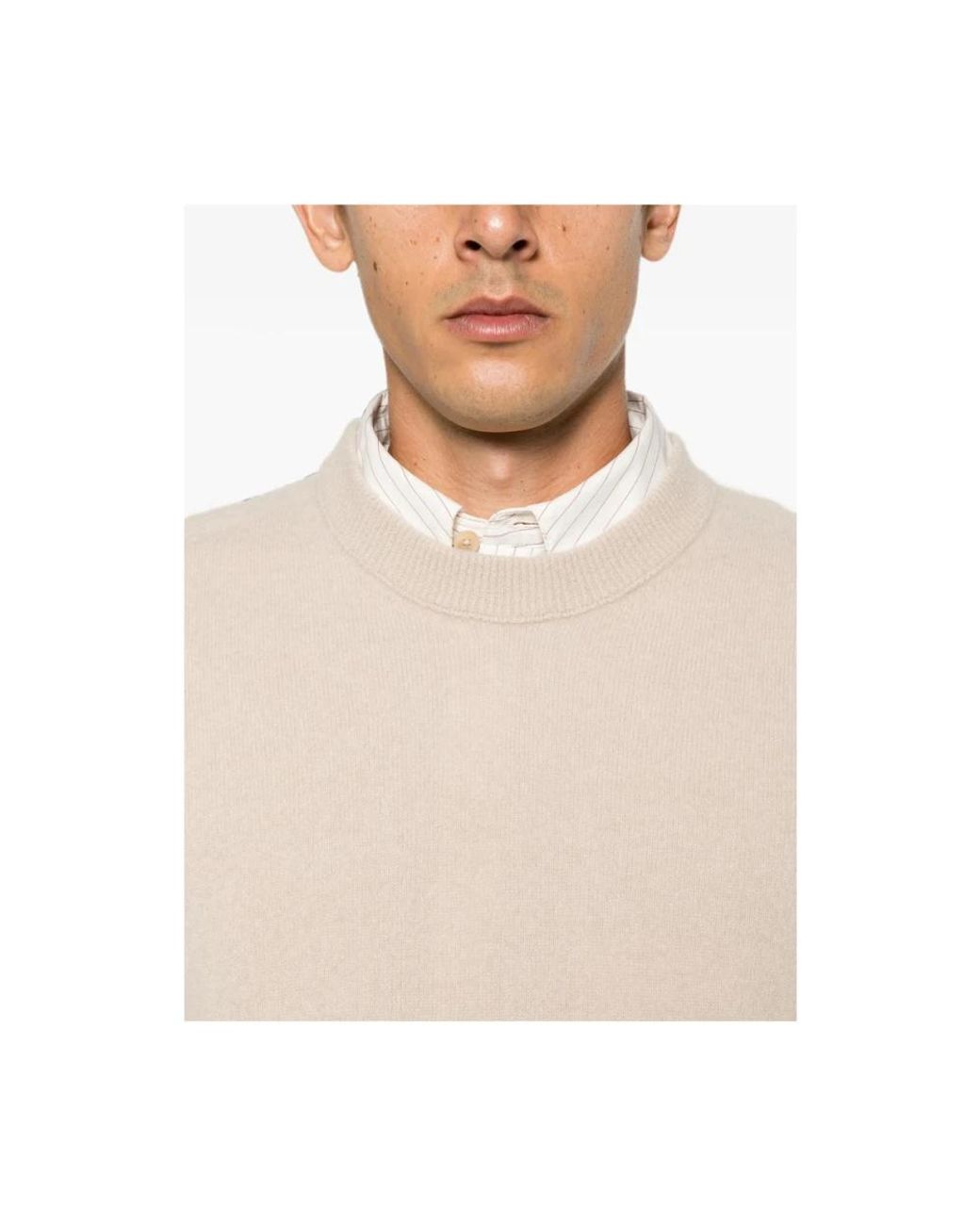 ATOMOFACTORY Cashmere Strickware in Natural für Herren
