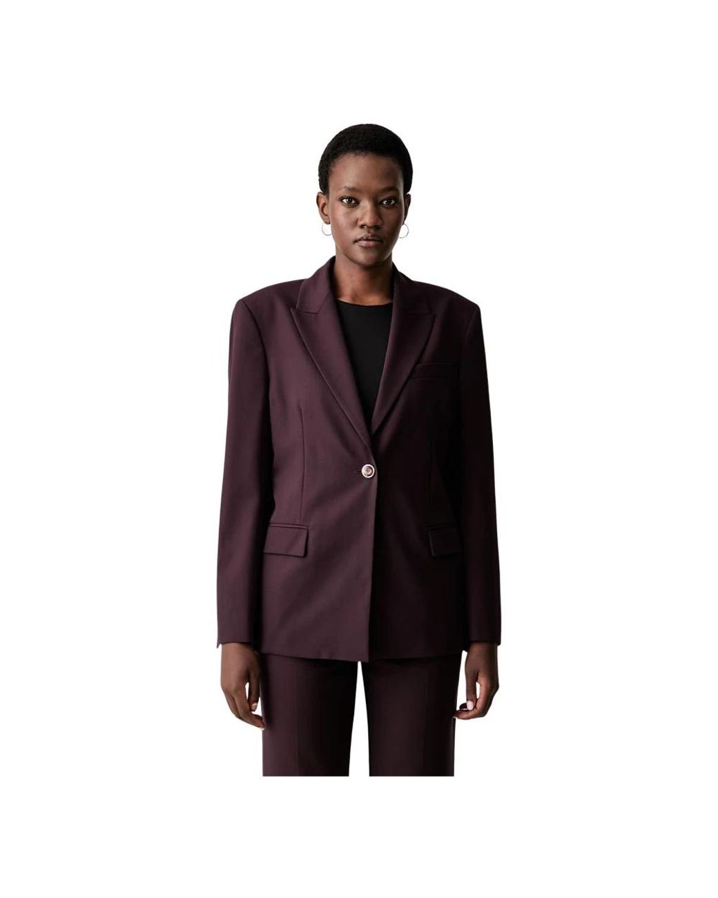 Pinko Jassen ,Bruin ,Polyester Umbrella Jacket in het Purple