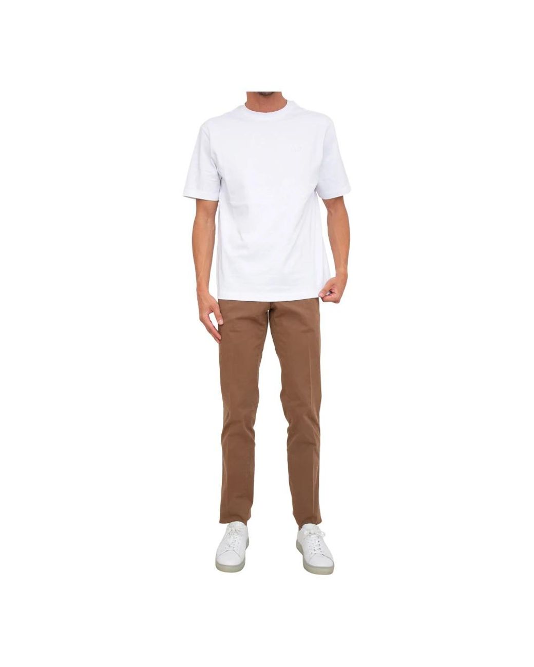 PT Torino Brown Chinos for men
