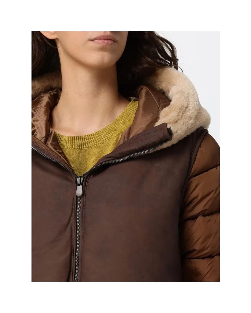 Winter Jackets Save The Duck en coloris Brown