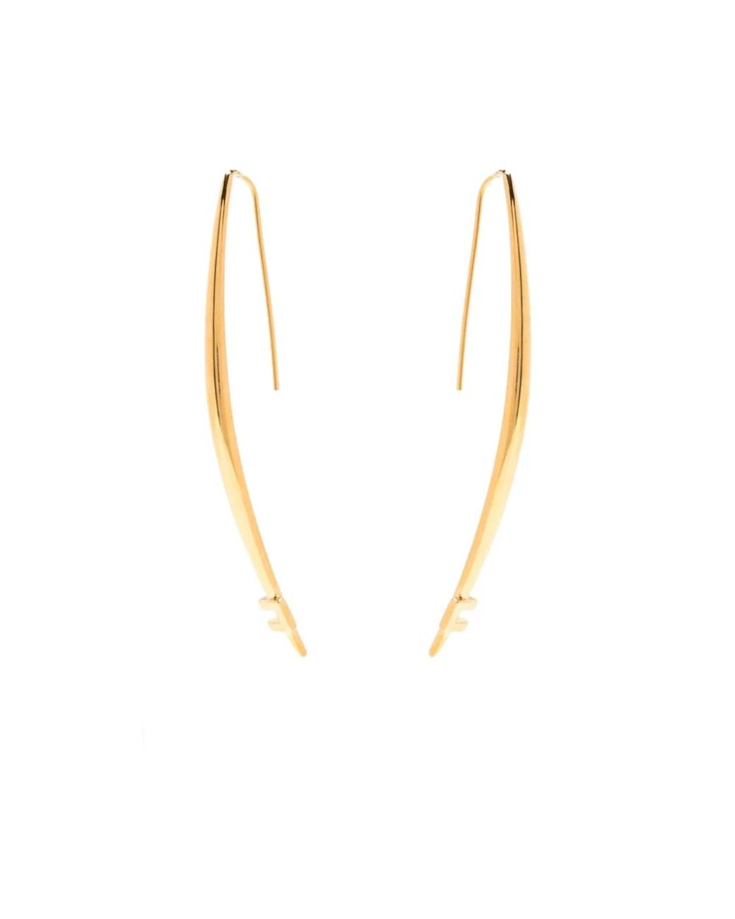 Elisabetta Franchi Metallic Earrings