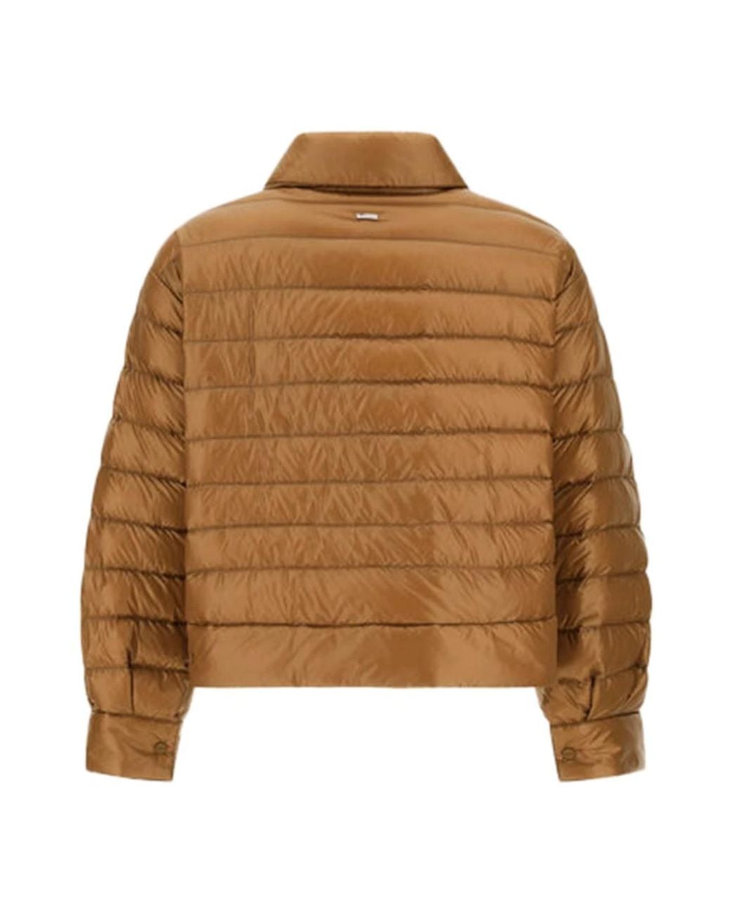 Herno Brown Winter Jackets