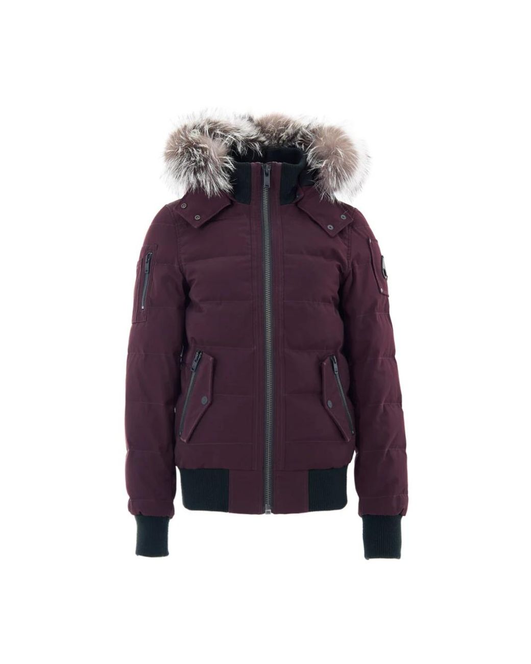 Moose Knuckles Purple Winter Jackets