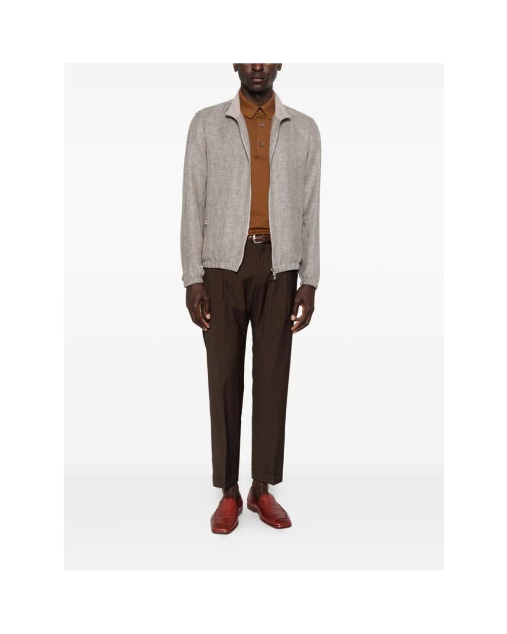 BRIGLIA Brown Chinos for men