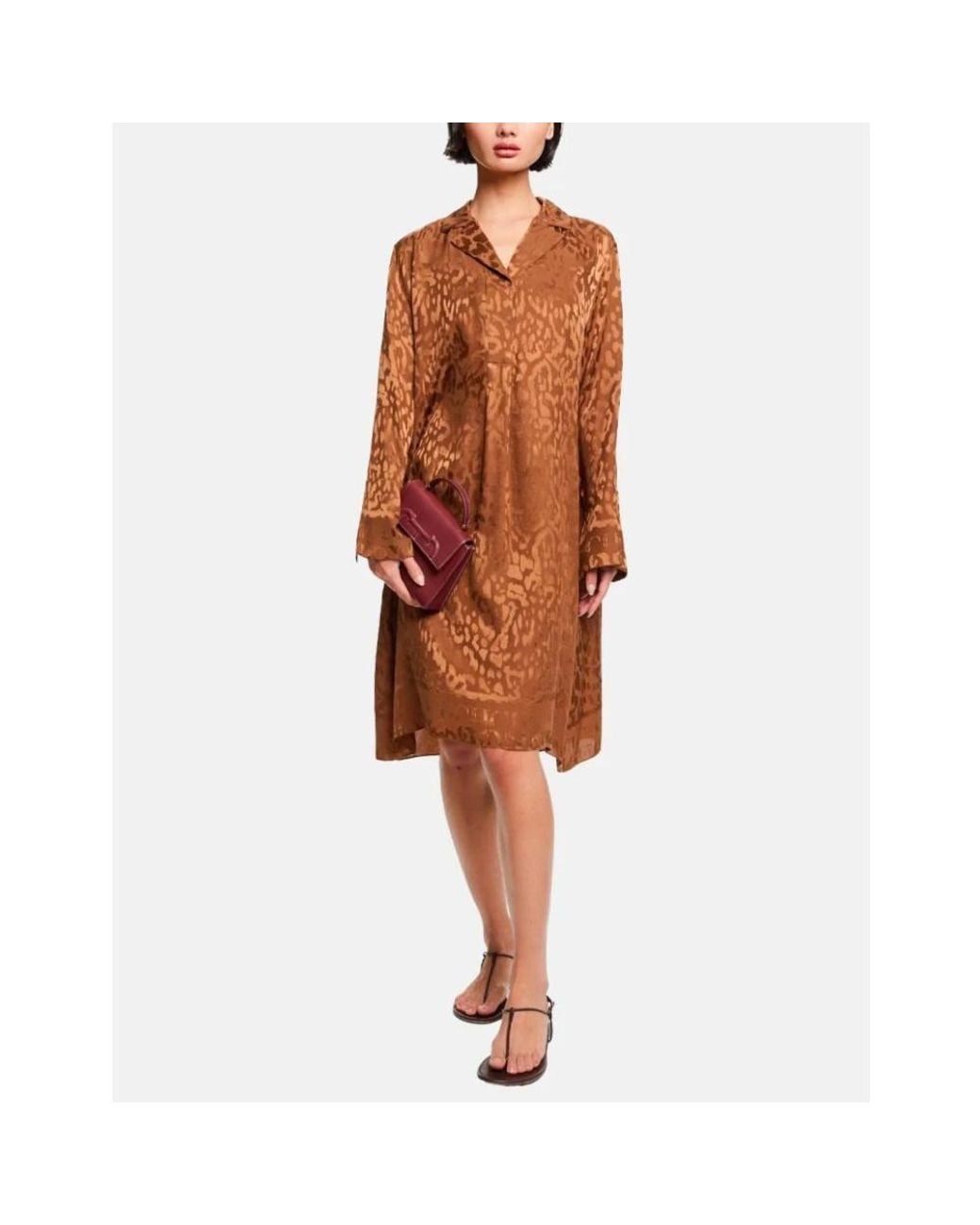 Carolina Herrera Brown Midi Dresses
