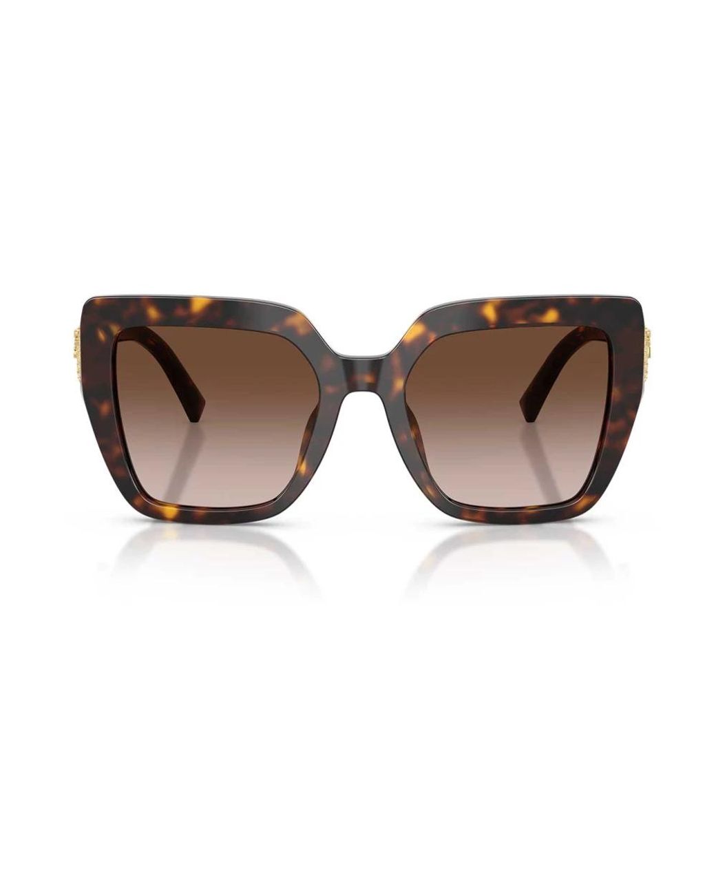 Dolce & Gabbana Brown Sunglasses