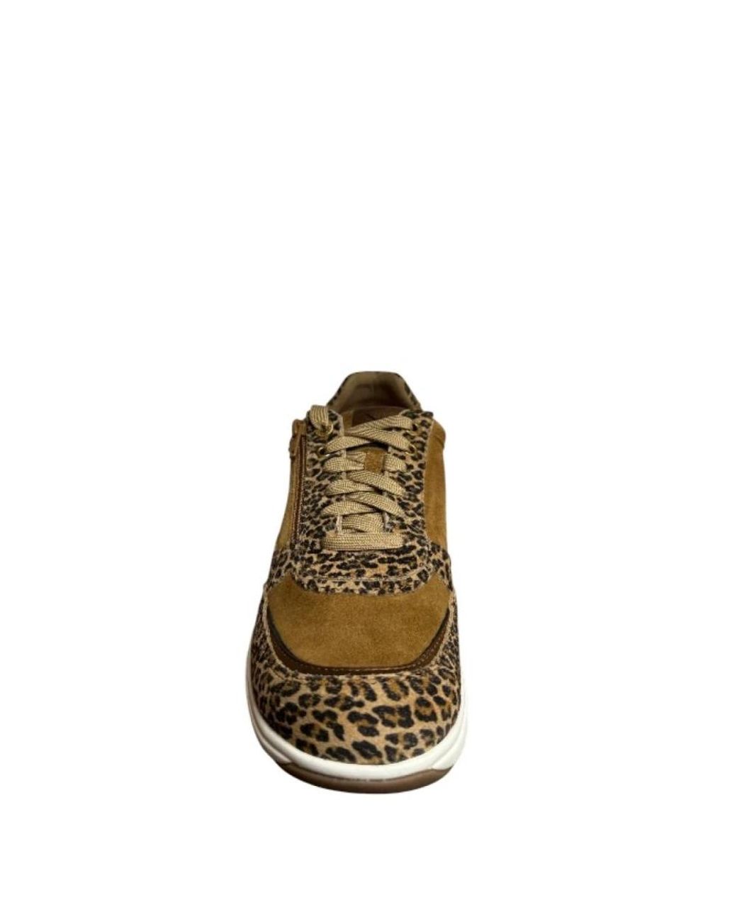 Sneakers Xsensible en coloris Brown