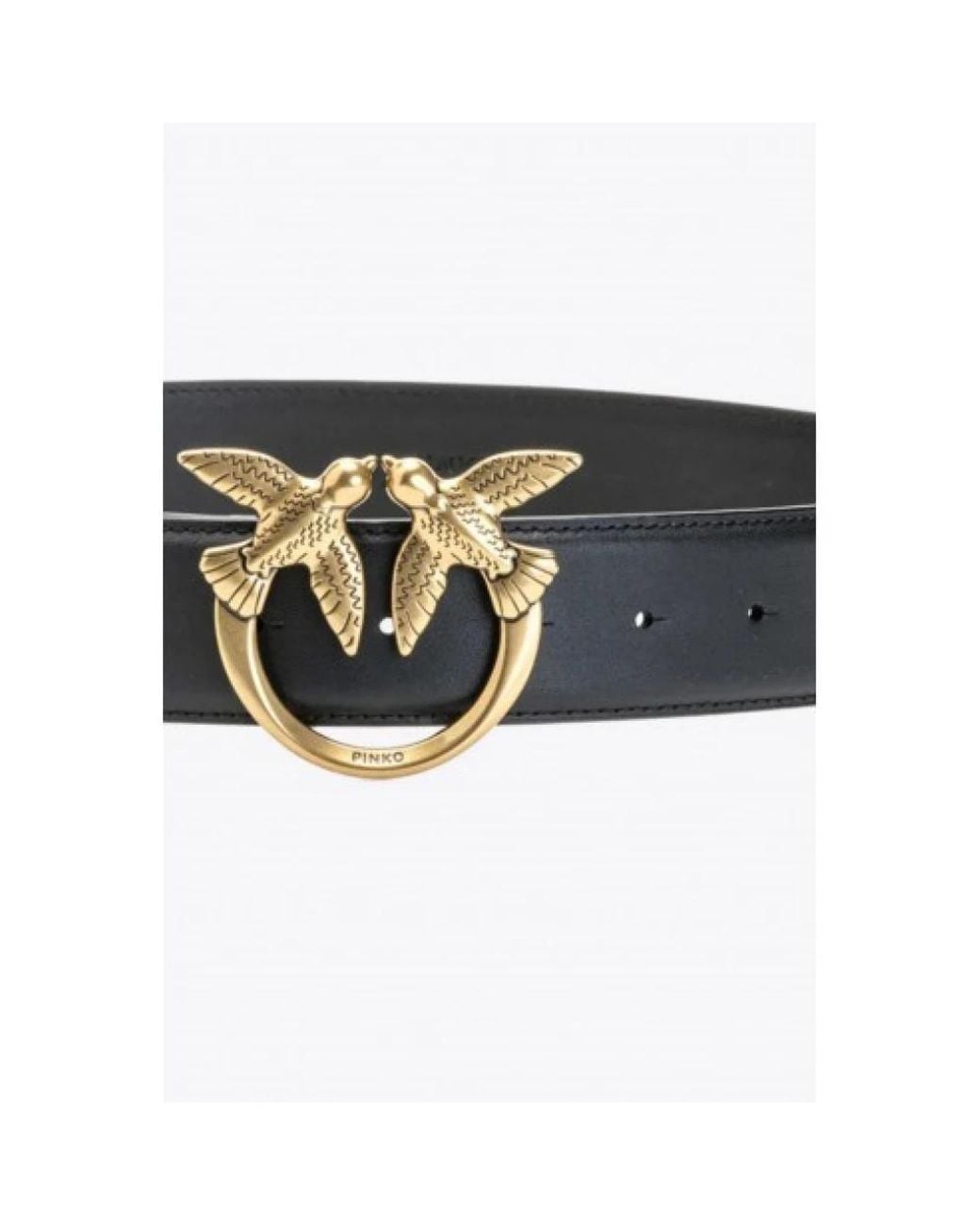Pinko Black Belts