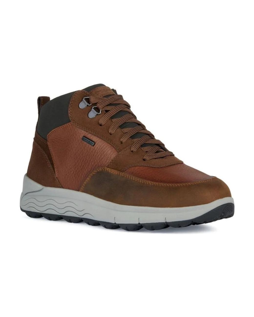 Geox Brown Sneakers for men