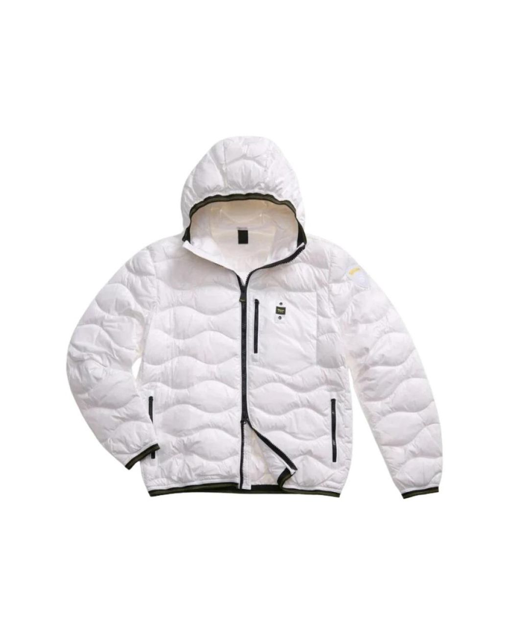 Blauer Wave Down Jacket in het Gray voor heren