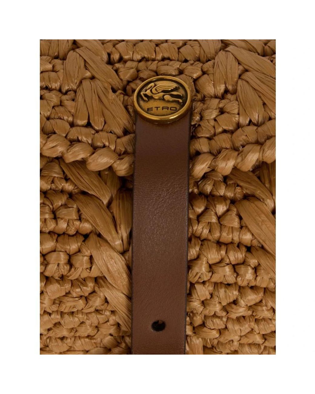 Handbags Etro de color Brown
