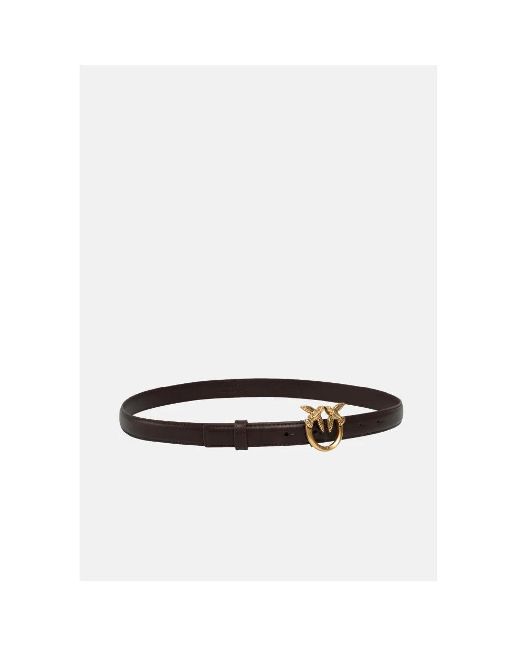 Belts Pinko de color White