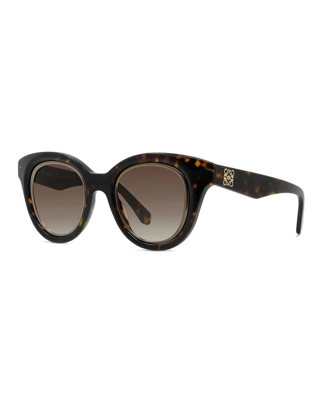 Loewe Brown Sunglasses