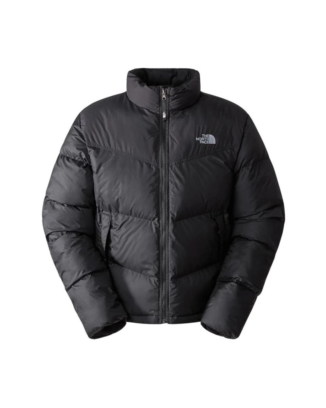 Jackets > down jackets The North Face pour homme en coloris Black