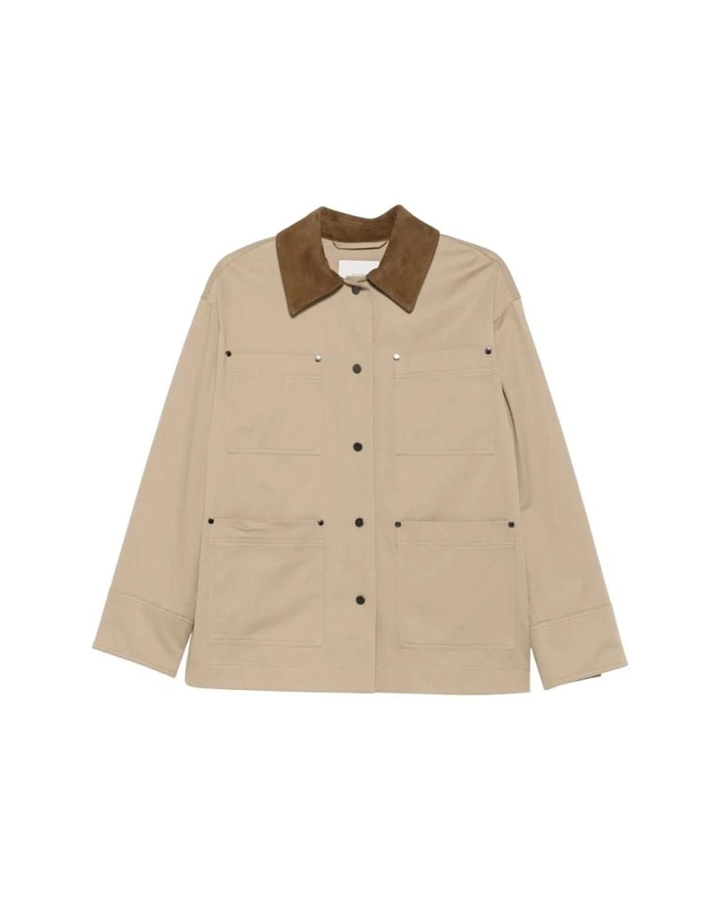 Light Jackets Joseph en coloris Natural