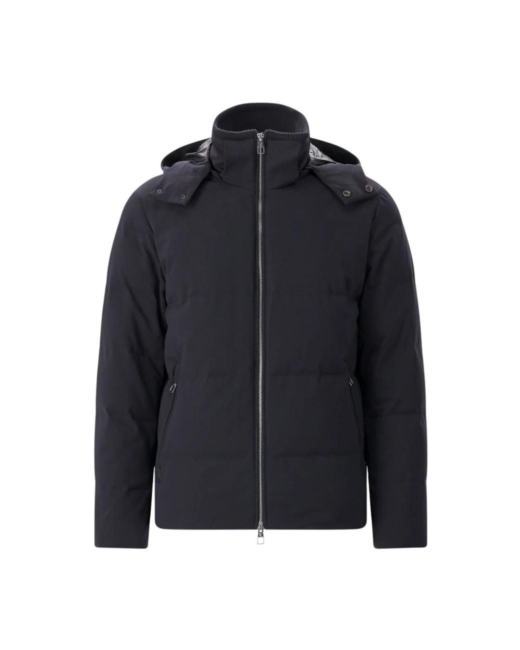 Montecore Blue Winter Jackets for men
