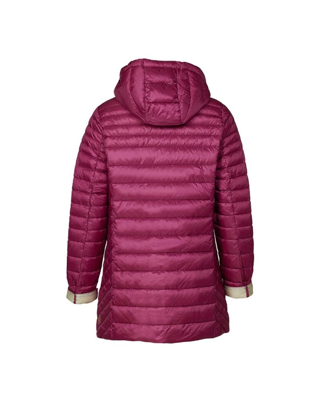 Down Jackets di Danwear in Purple