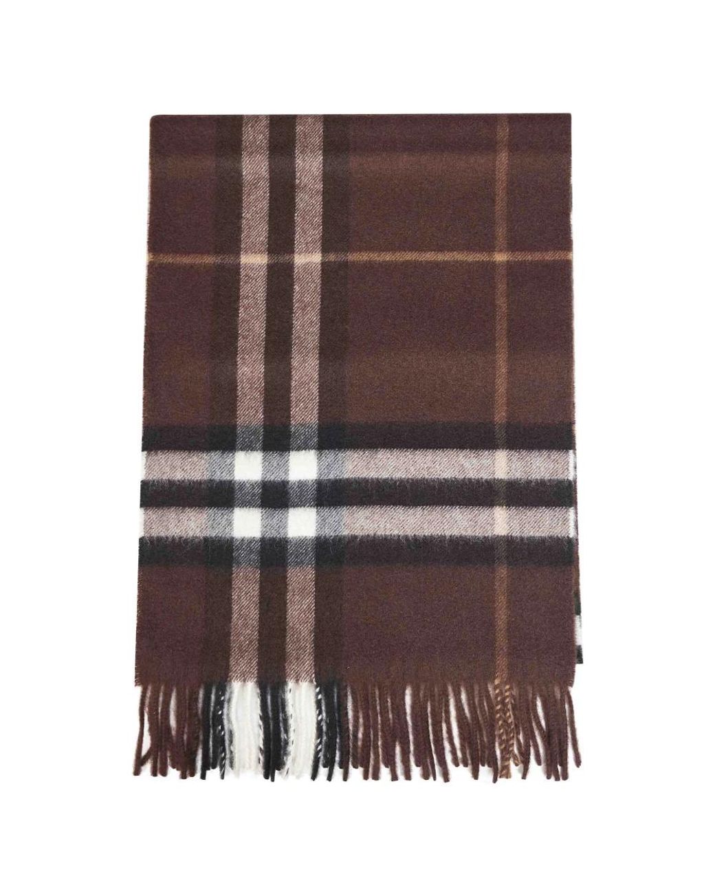 Winter Scarves di Burberry in Brown da Uomo