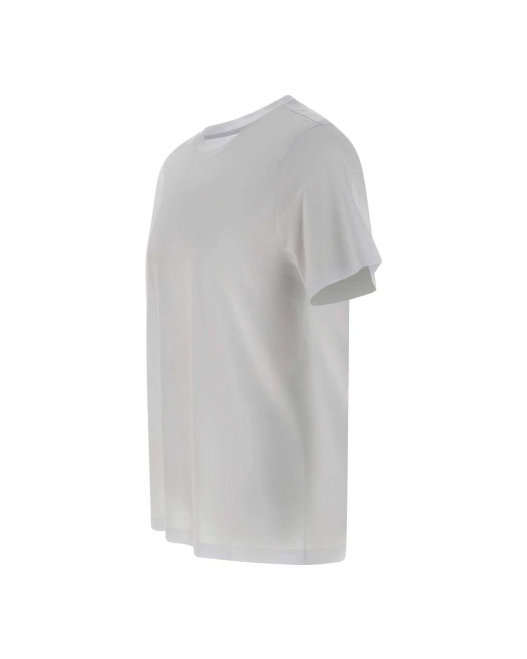 Kangra Gray T-Shirts for men