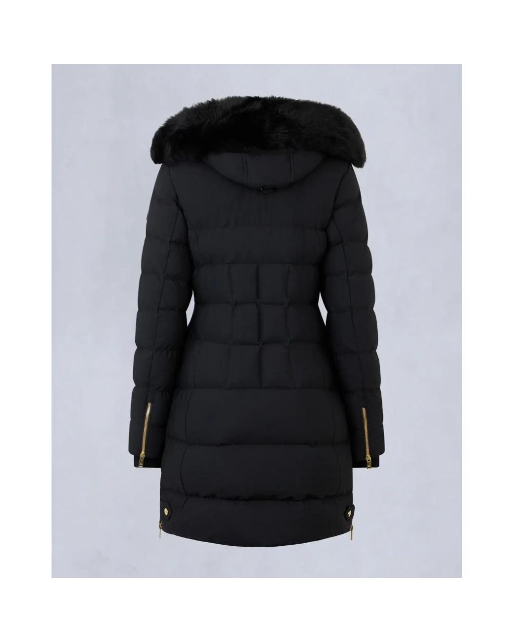 Down Coats Moose Knuckles de color Black
