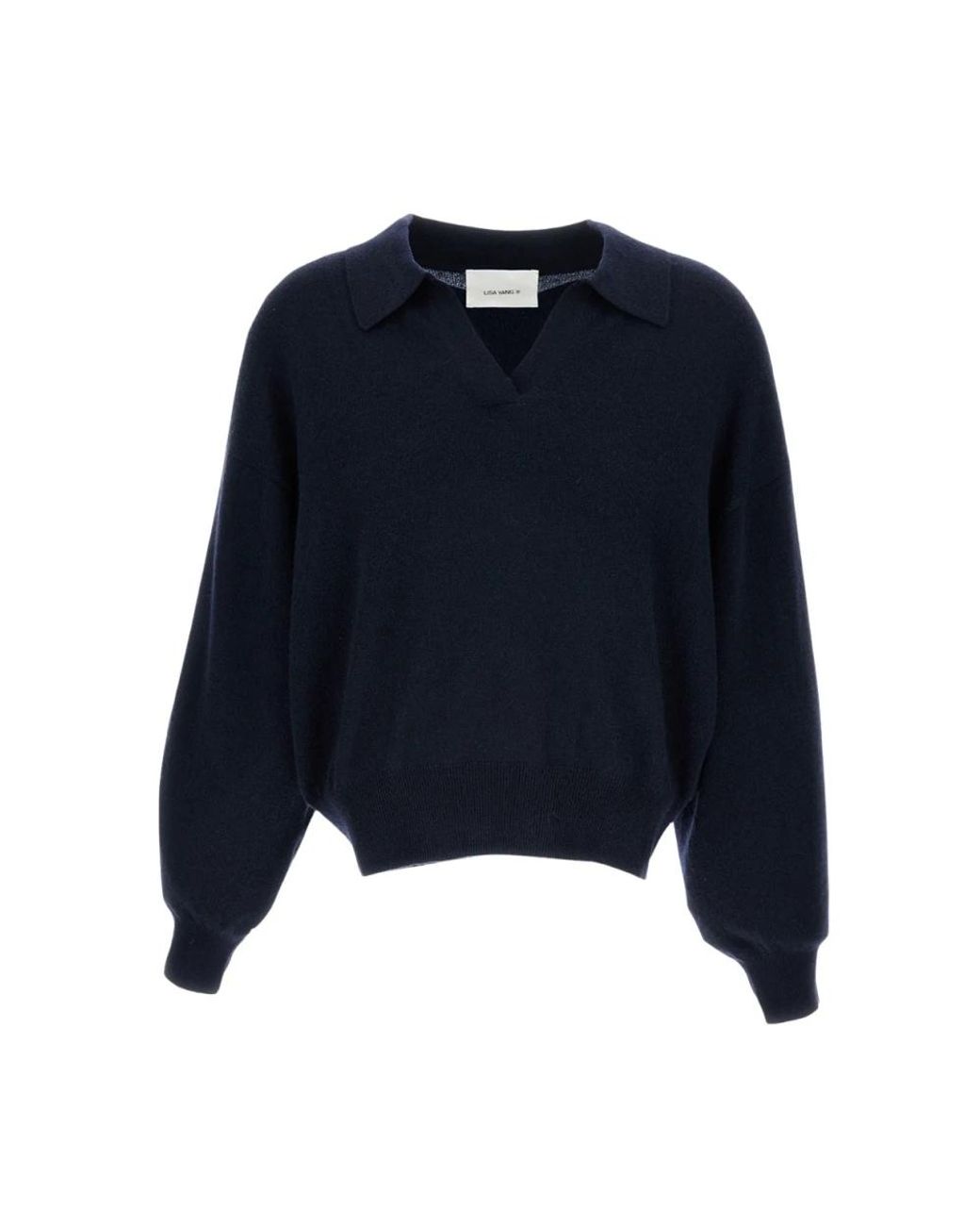 Lisa Yang Blue V-Neck Knitwear