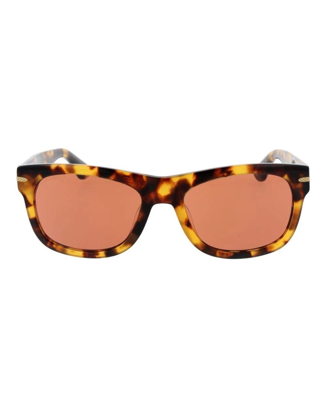 Serengeti Brown Sunglasses