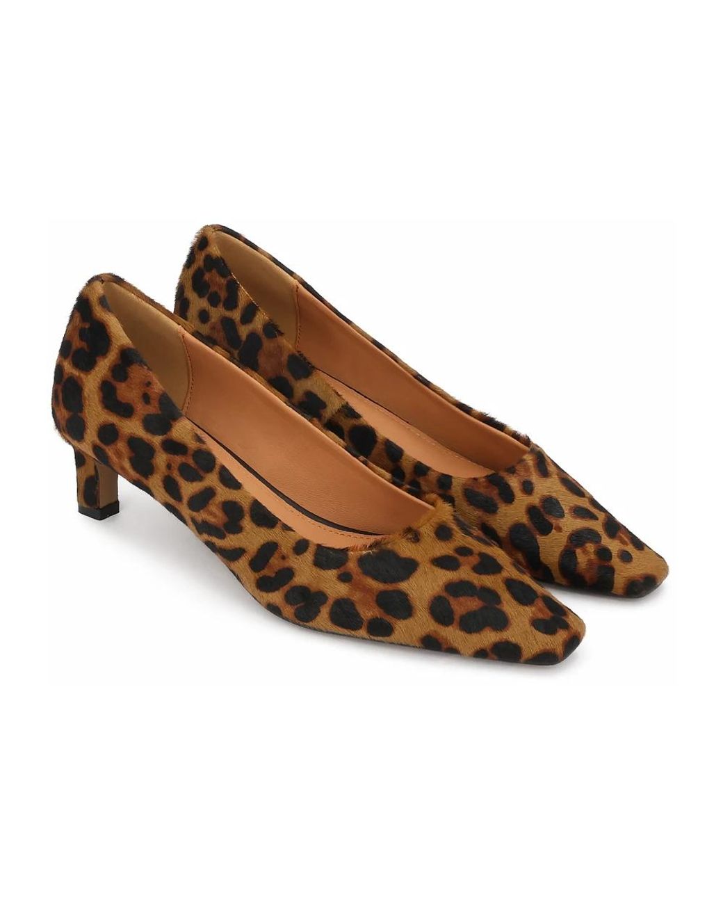 Pumps Kazar en coloris Brown