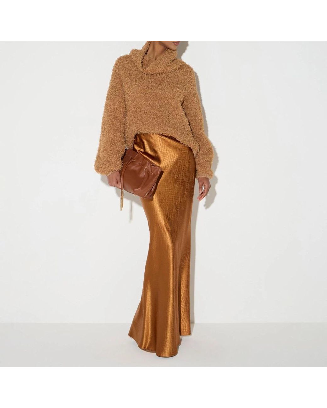 Elisabetta Franchi Brown Turtlenecks