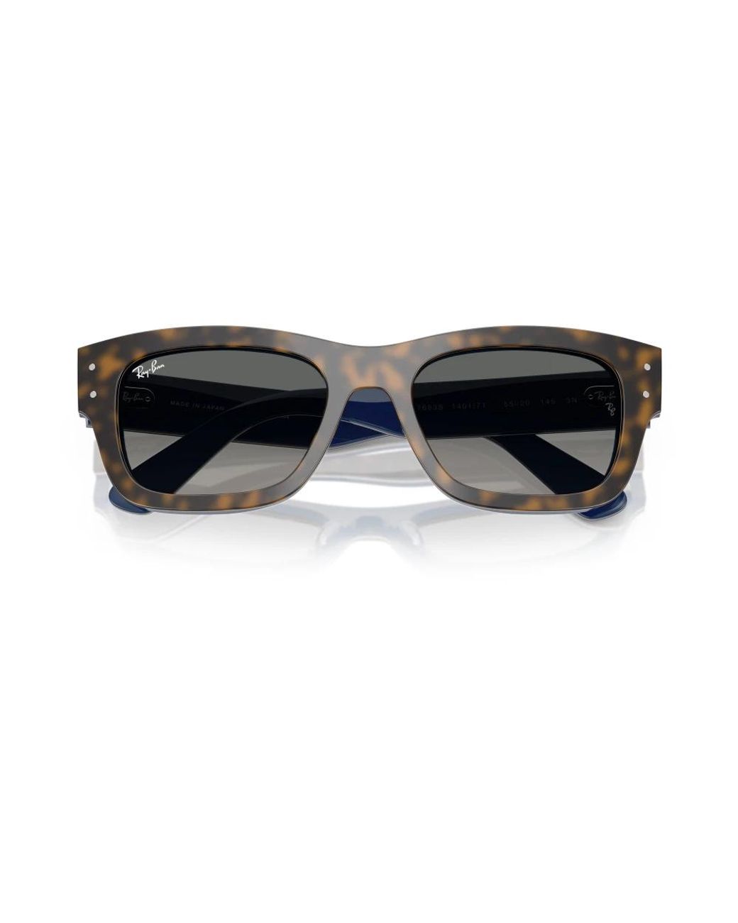 Ray-Ban Gray Sunglasses