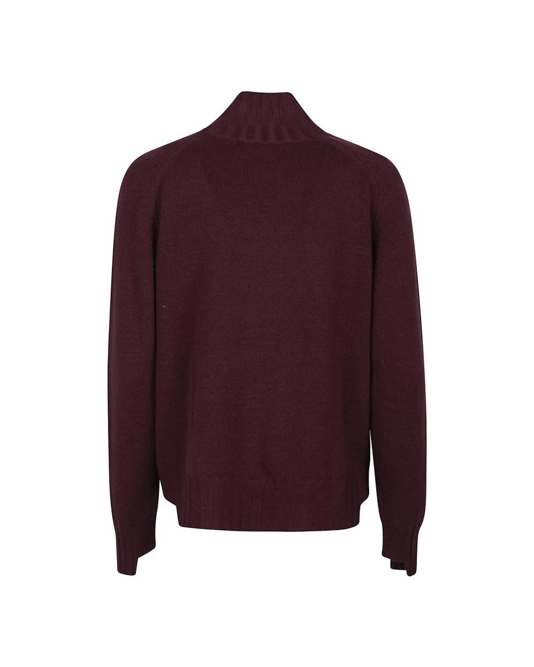 Canessa Purple Turtlenecks