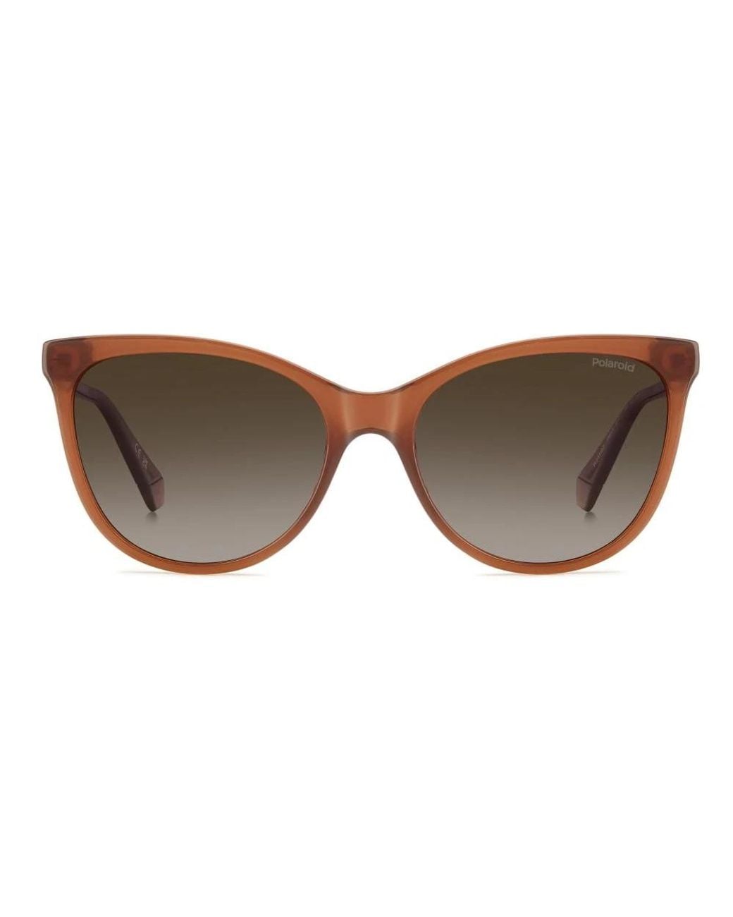 Polaroid Brown Sunglasses