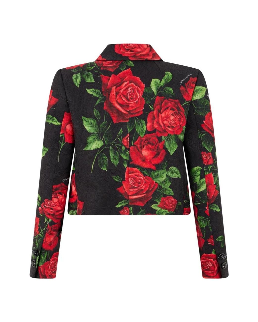 Dolce & Gabbana Red Blazers