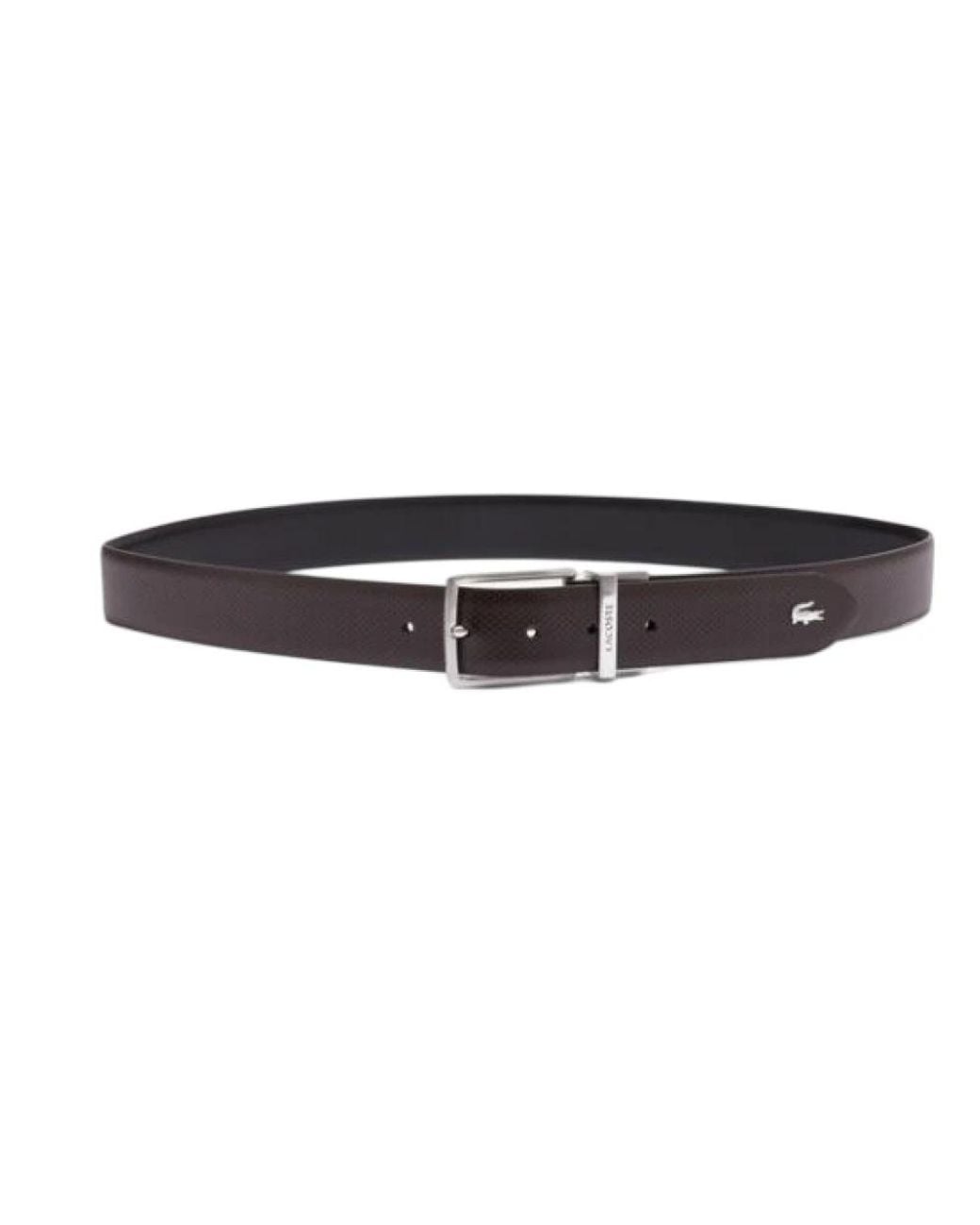 Lacoste Brown Belts for men