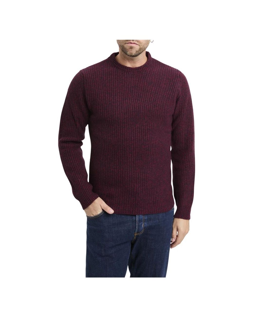 Daniele Fiesoli Purple Round-Neck Knitwear for men