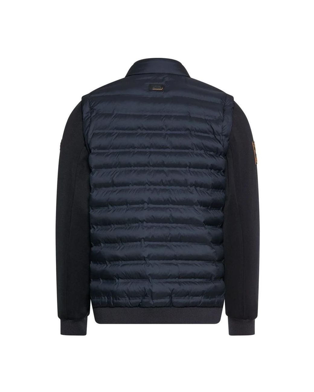 Winter Jackets di Camel Active in Blue da Uomo