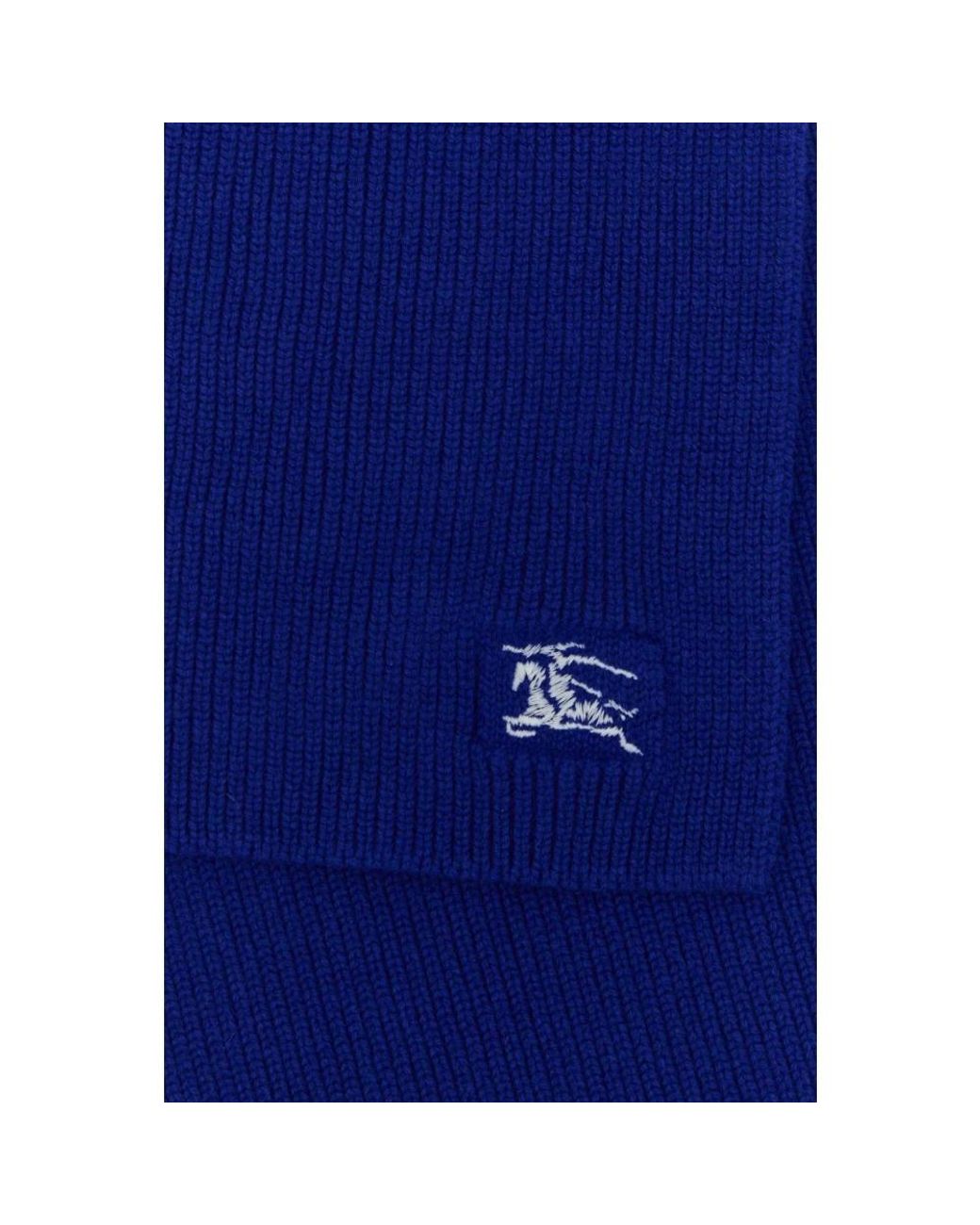 Burberry Blue Winter Scarves
