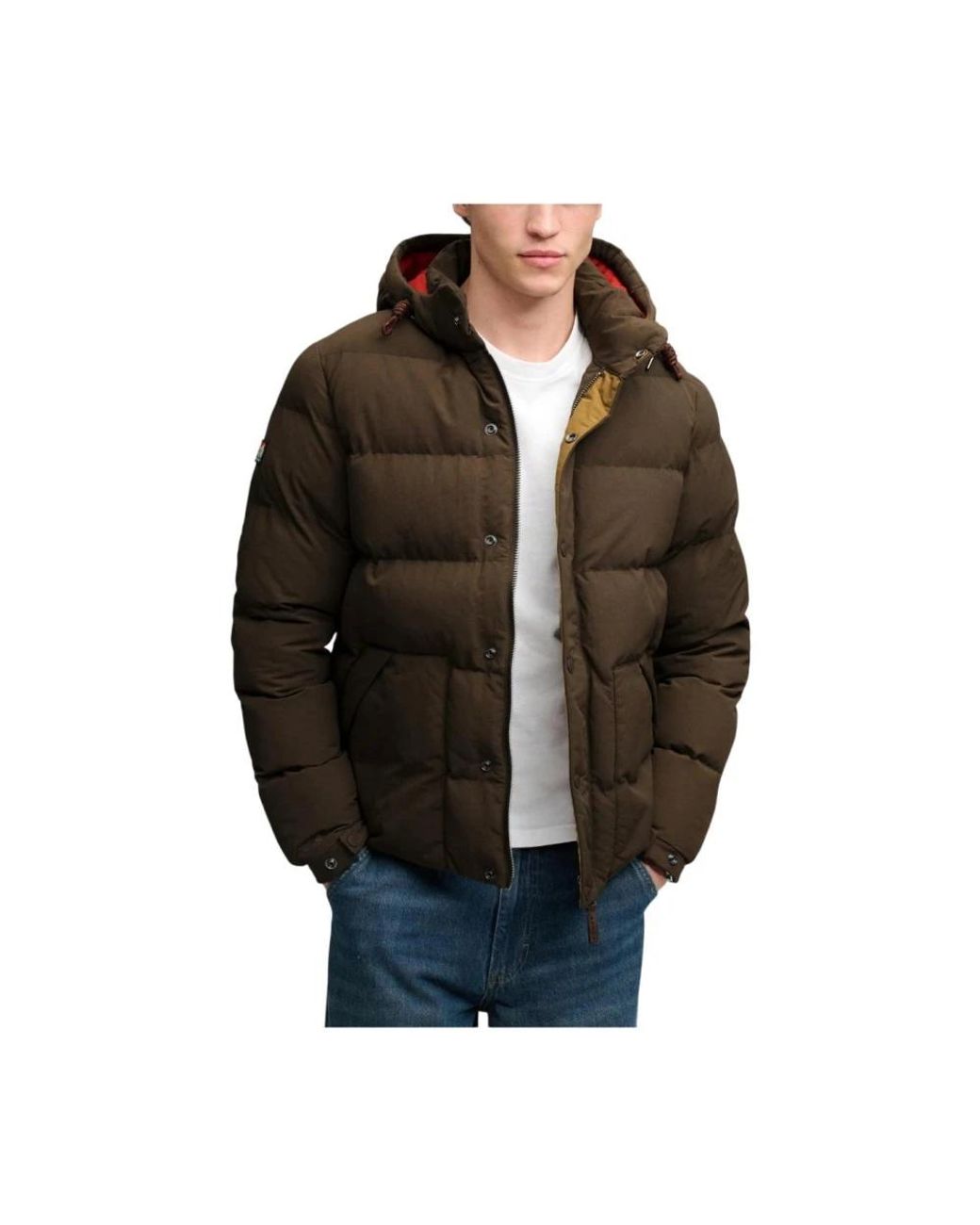 Winter Jackets Superdry de hombre de color Green