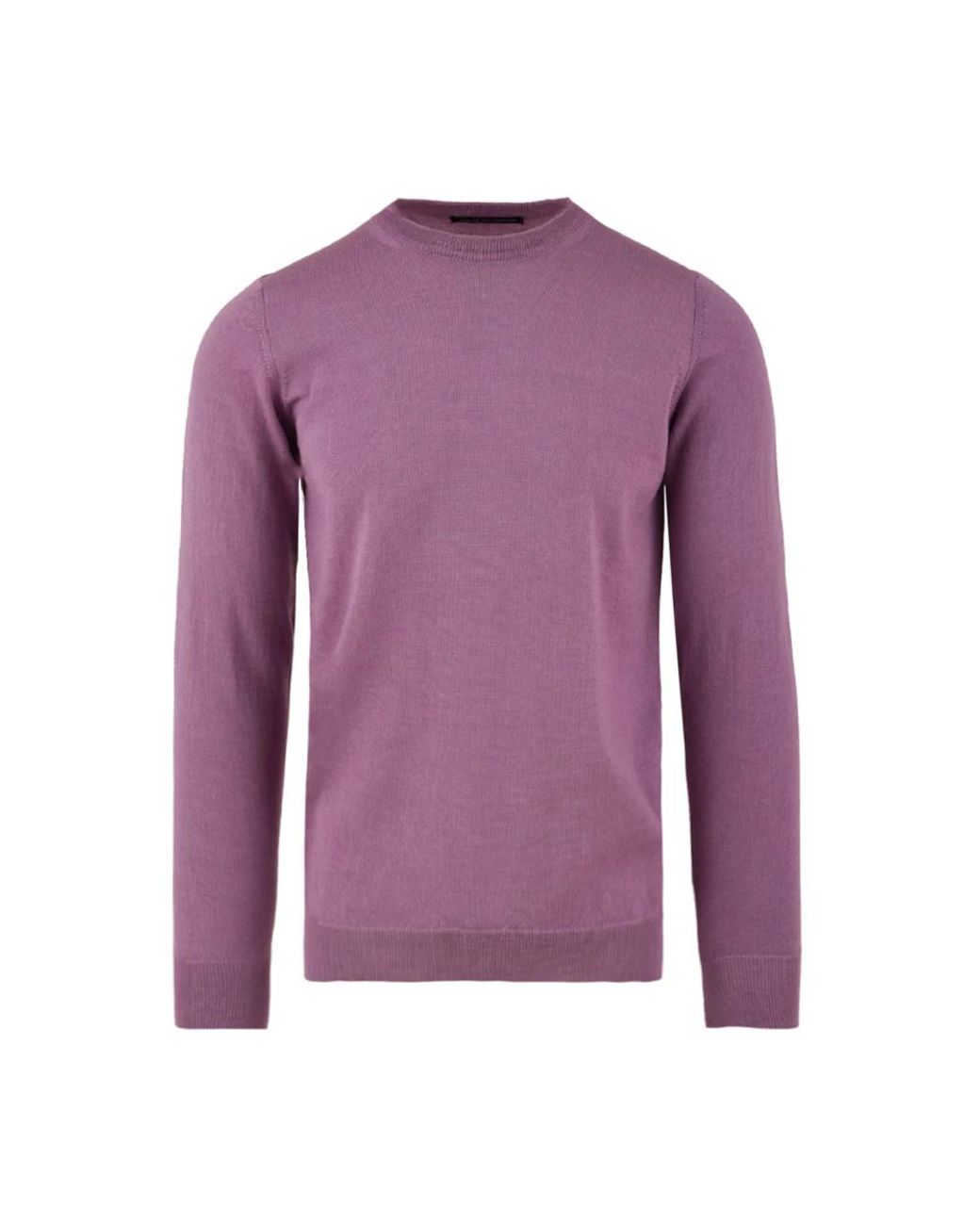 Daniele Alessandrini Purple Round-Neck Knitwear for men