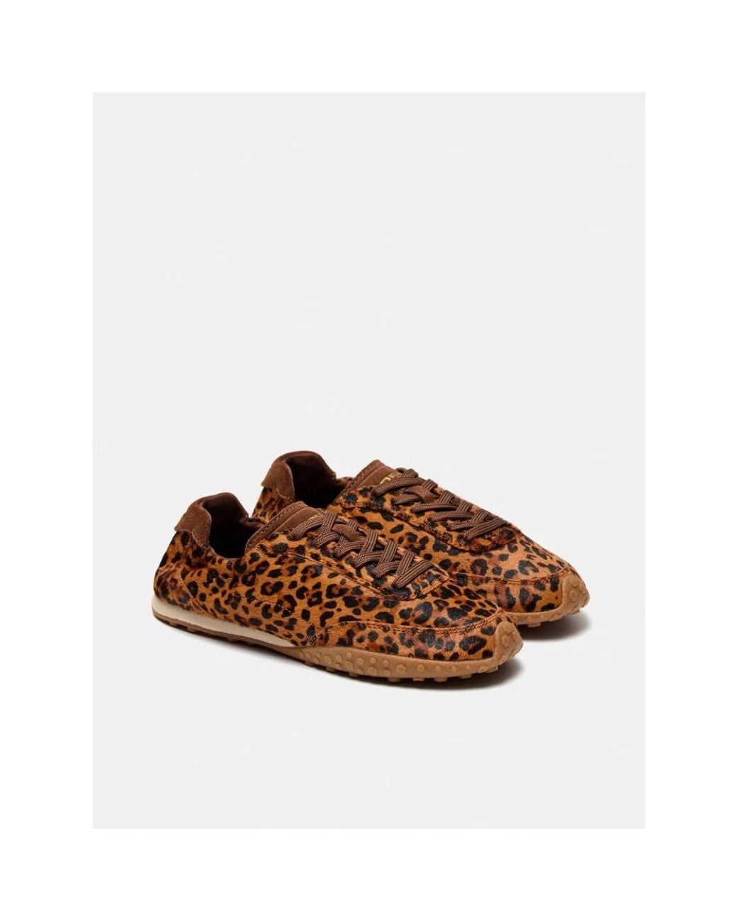 HOFF Brown Bridge Flat Sneaker