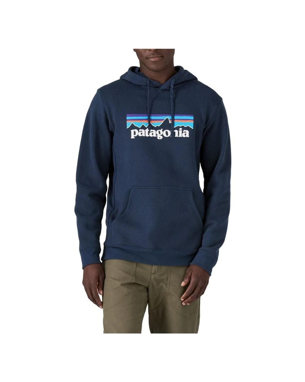 Patagonia Blue Hoodies for men